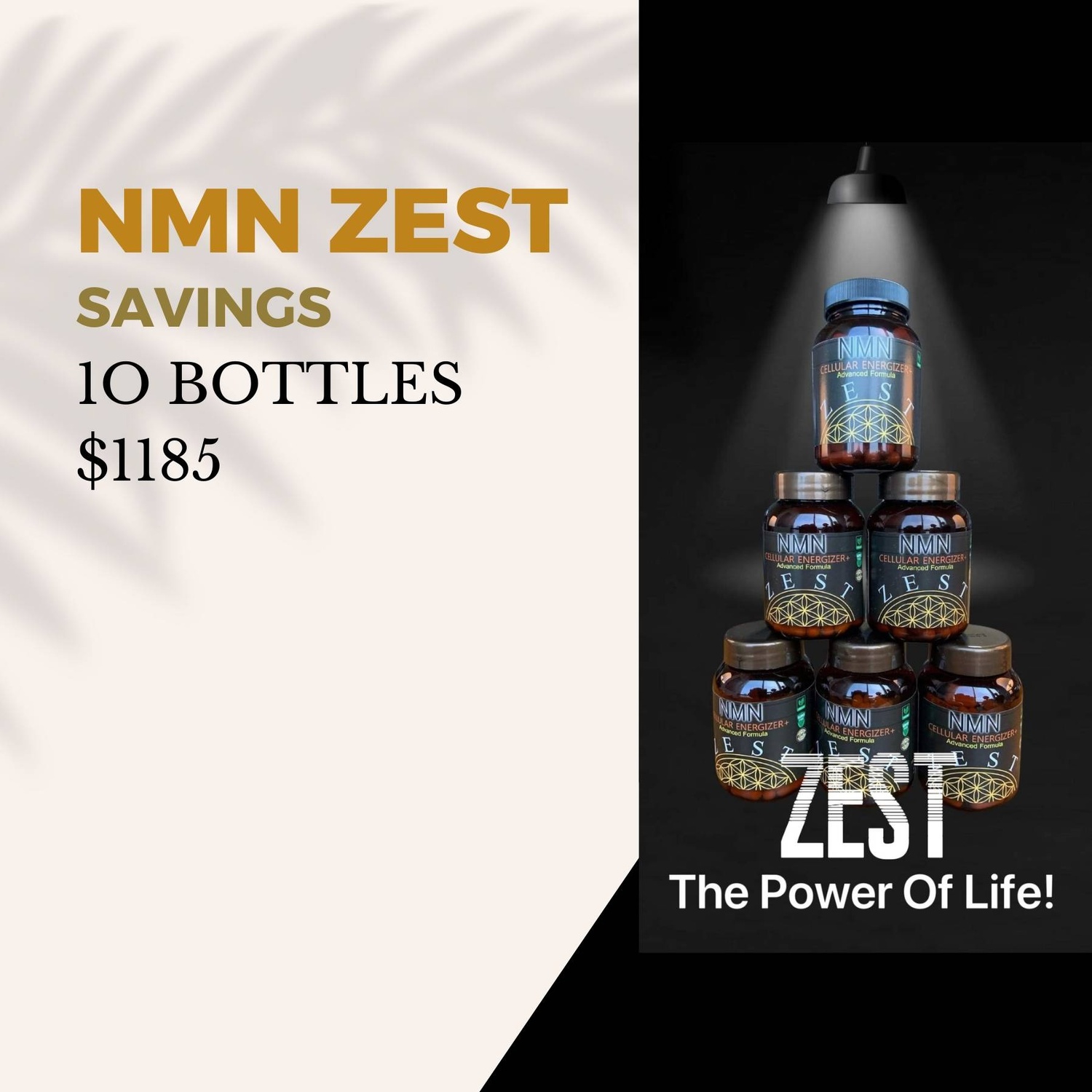 10 Bottles NMN Zest $1185